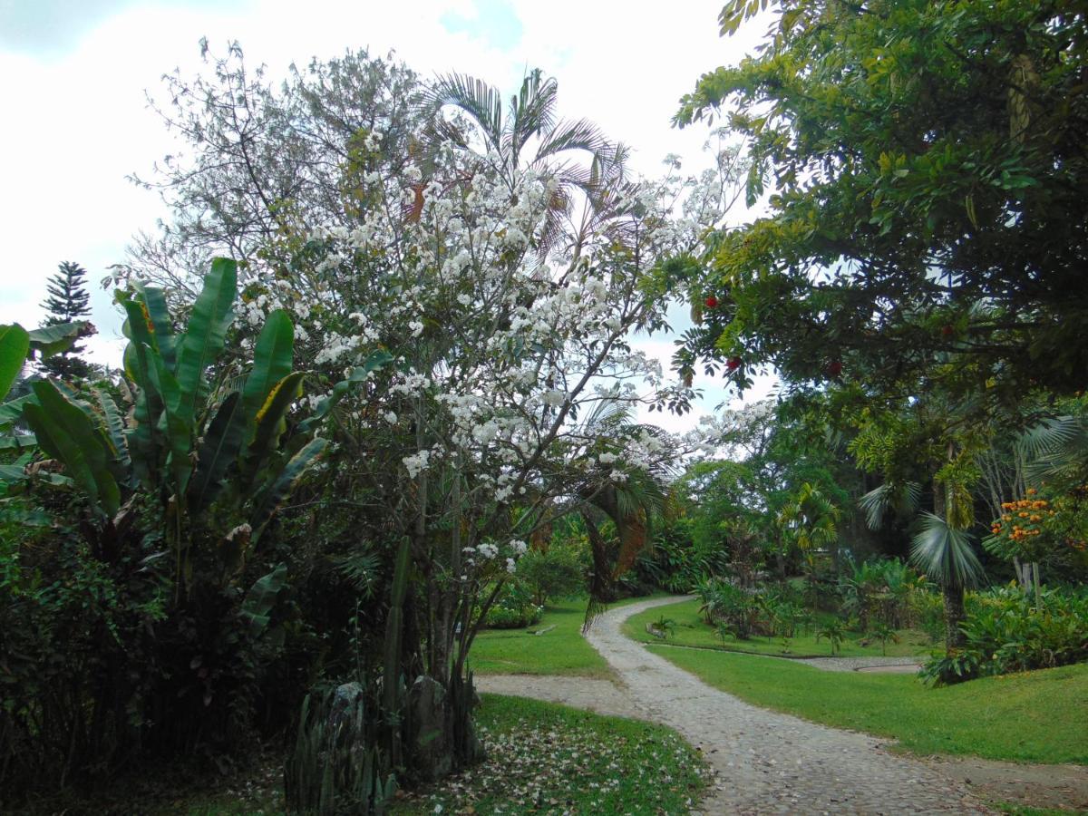 Finca La Colina Bed & Breakfast Calarca Luaran gambar